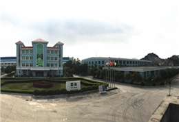 微補(bǔ)簡(jiǎn)介