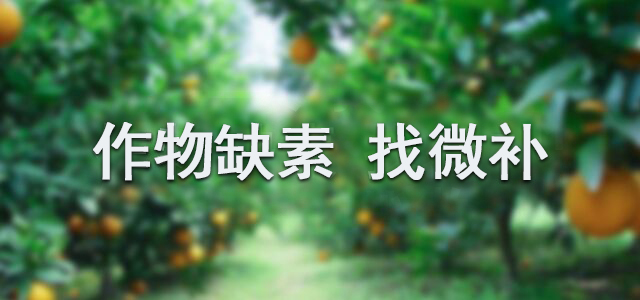 攜手微補(bǔ),開(kāi)創(chuàng)微肥新時(shí)代