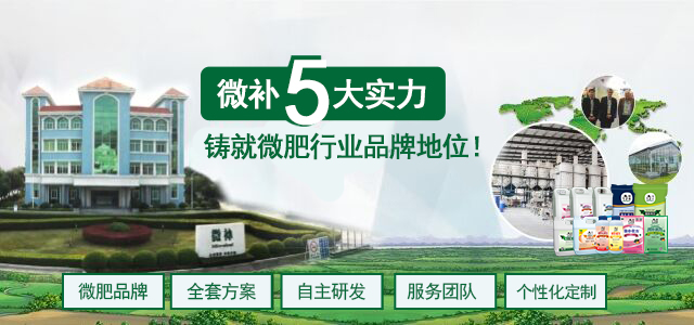 選擇微補(bǔ) 選擇微肥品牌