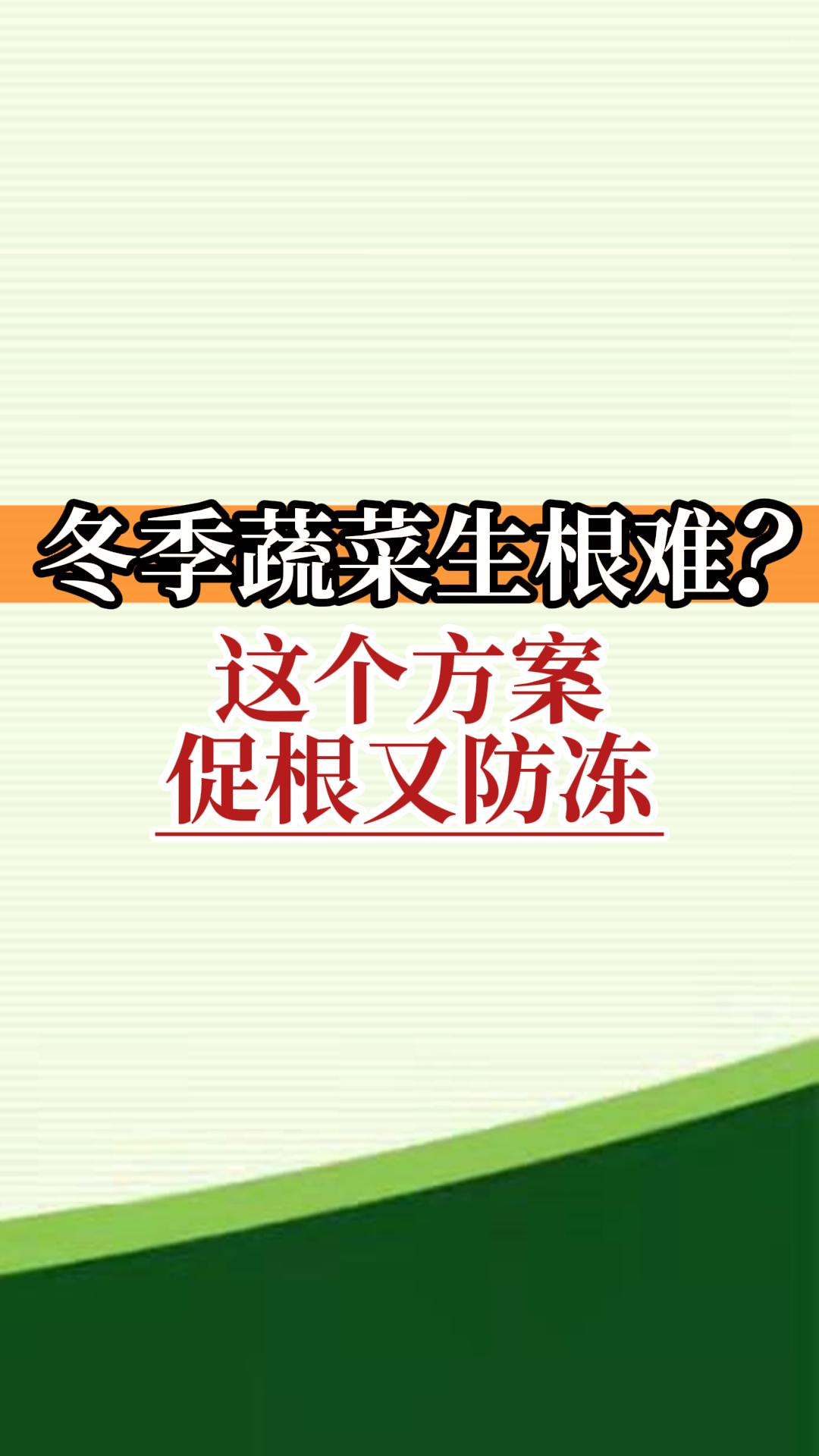 冬季蔬菜生根難？這個方案促根又防凍