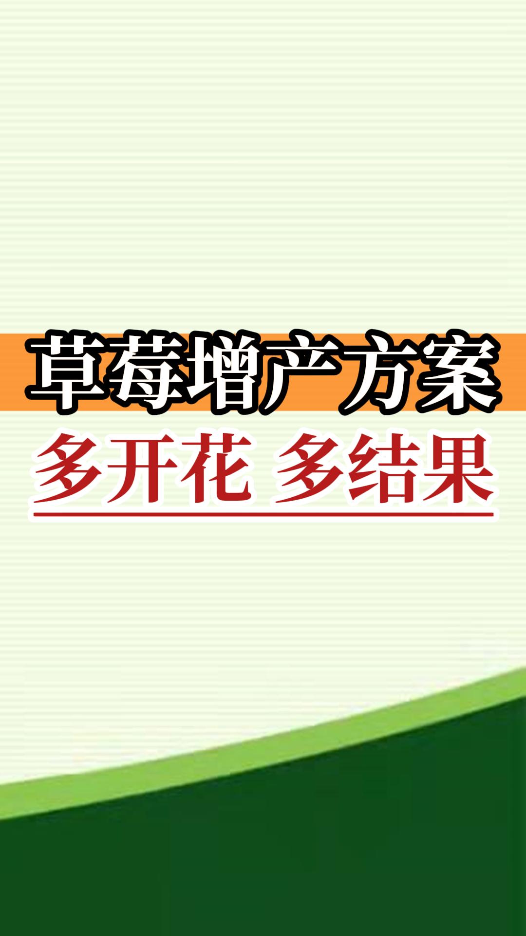 草莓增產方案 多開花 多結果
