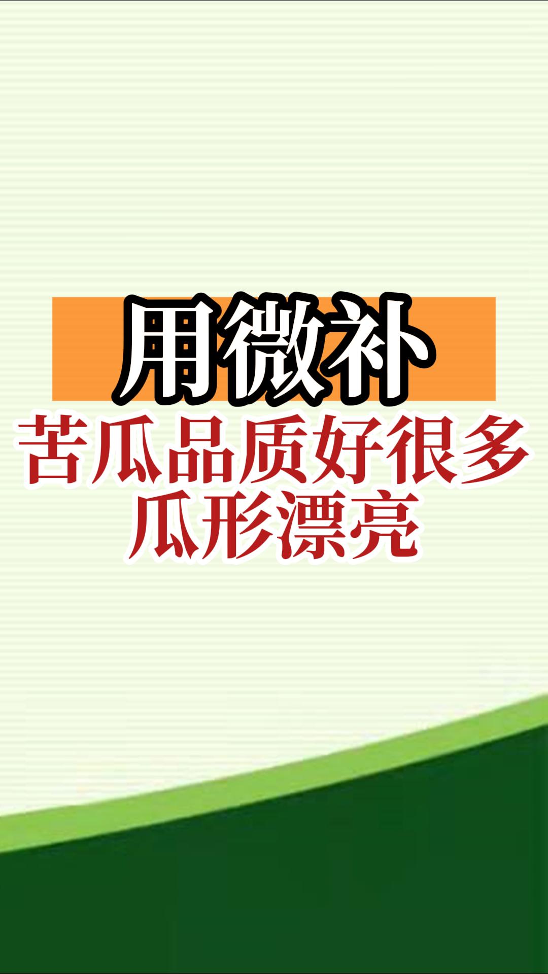 用微補(bǔ)，苦瓜品質(zhì)好很多，瓜形漂亮