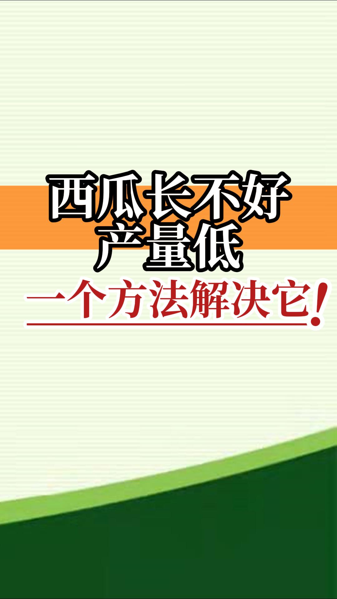 西瓜長不好產(chǎn)量低？