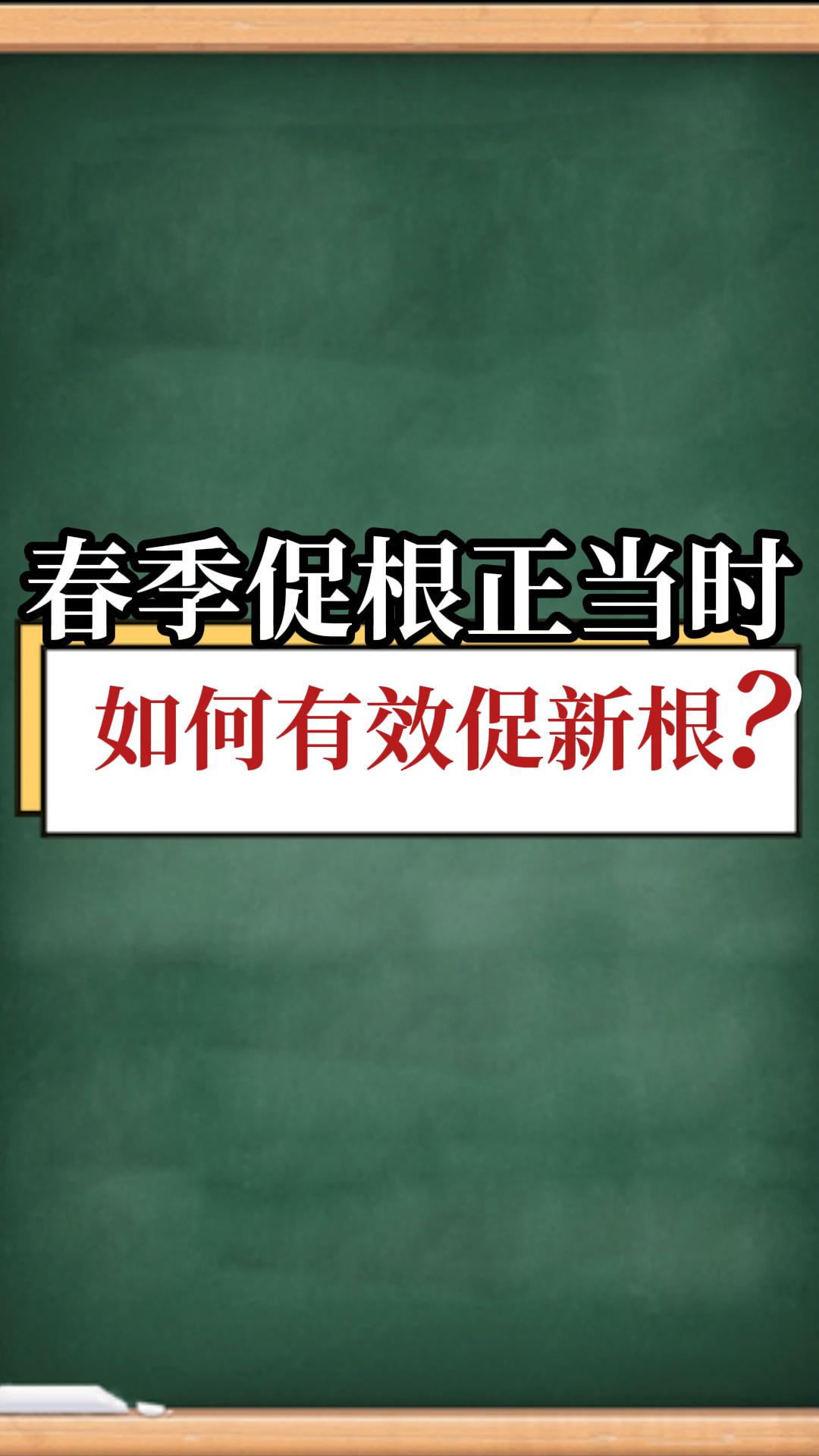 如何有效促新根？