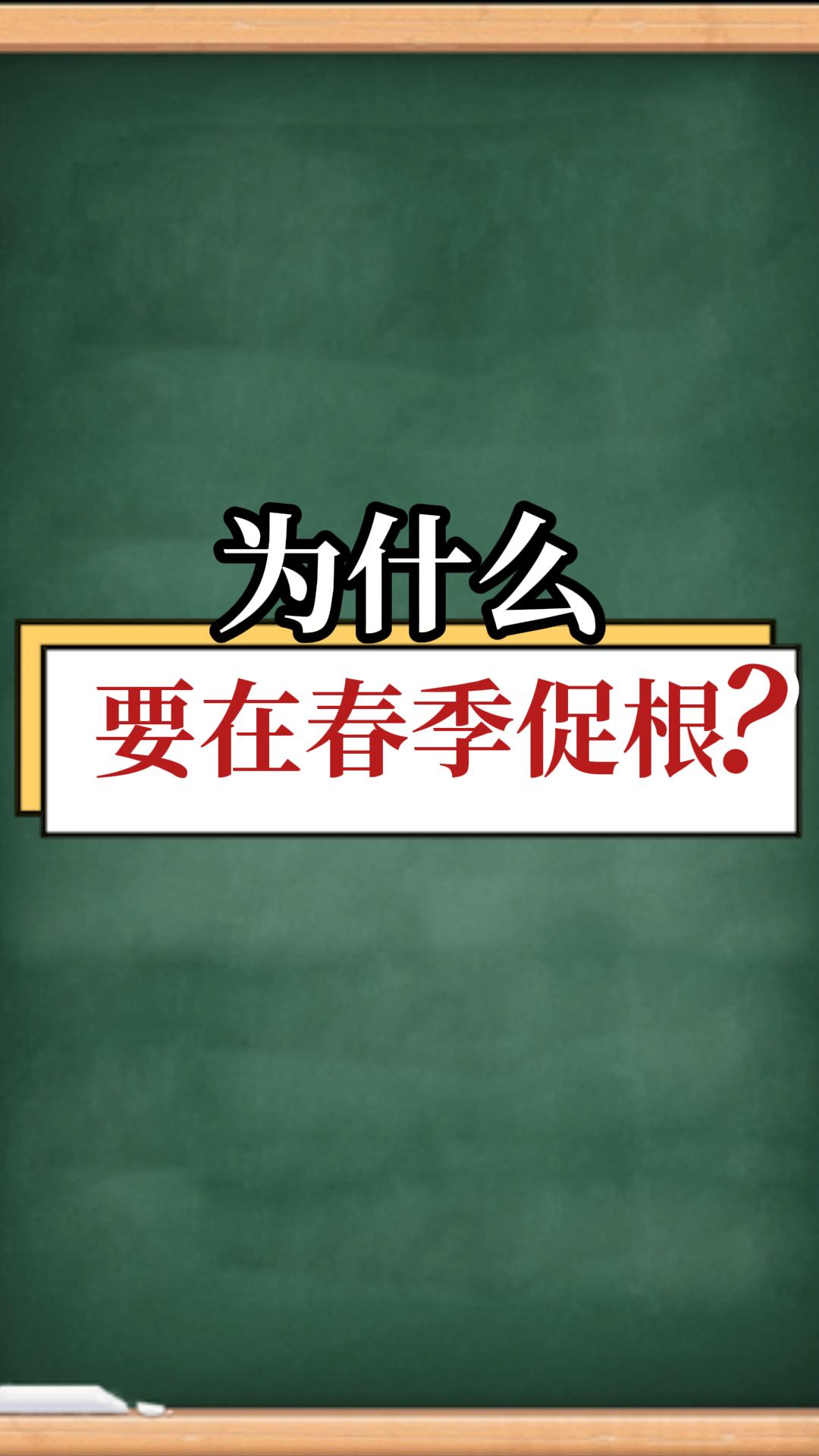 為什么要在春季促根？