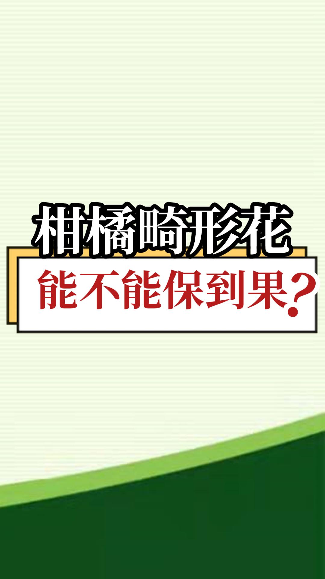 柑橘畸形花能不能保到果？