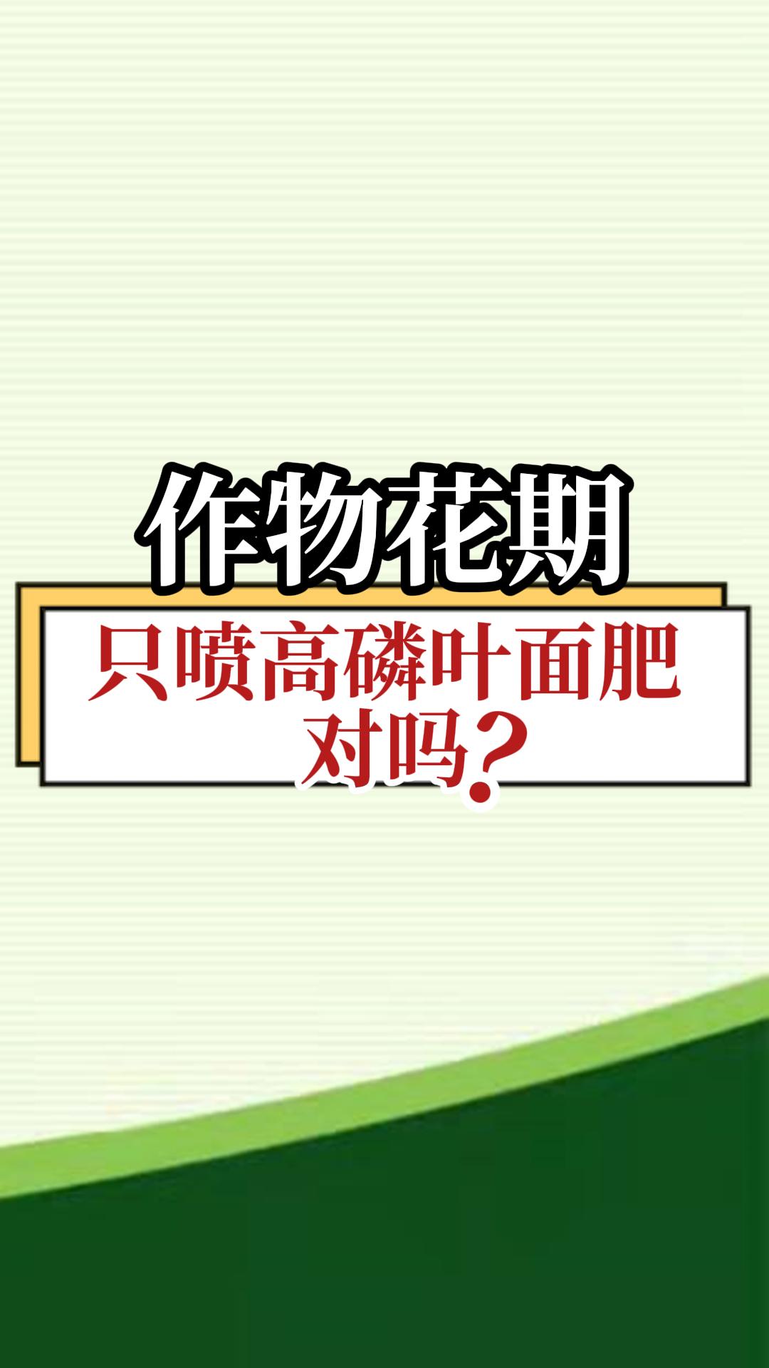 作物花期只噴高磷葉面肥對嗎