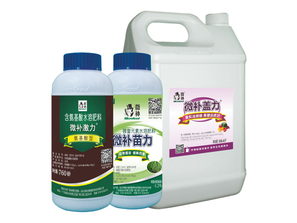 讓作物安全過冬的實用小妙招，速看