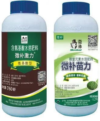 讓作物安全過冬的實(shí)用小妙招，速看