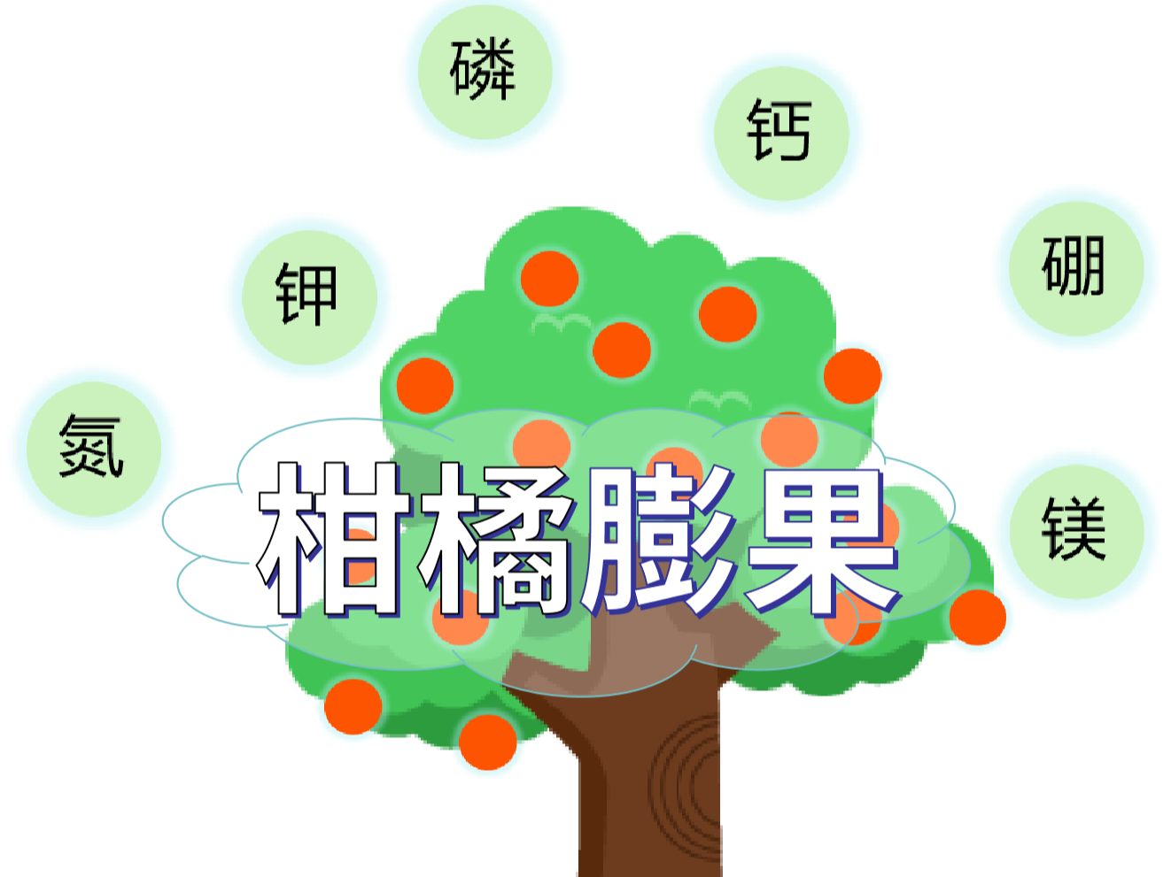 柑橘<i style='color:red'>膨果</i>慢？找準原因，“對癥下藥”