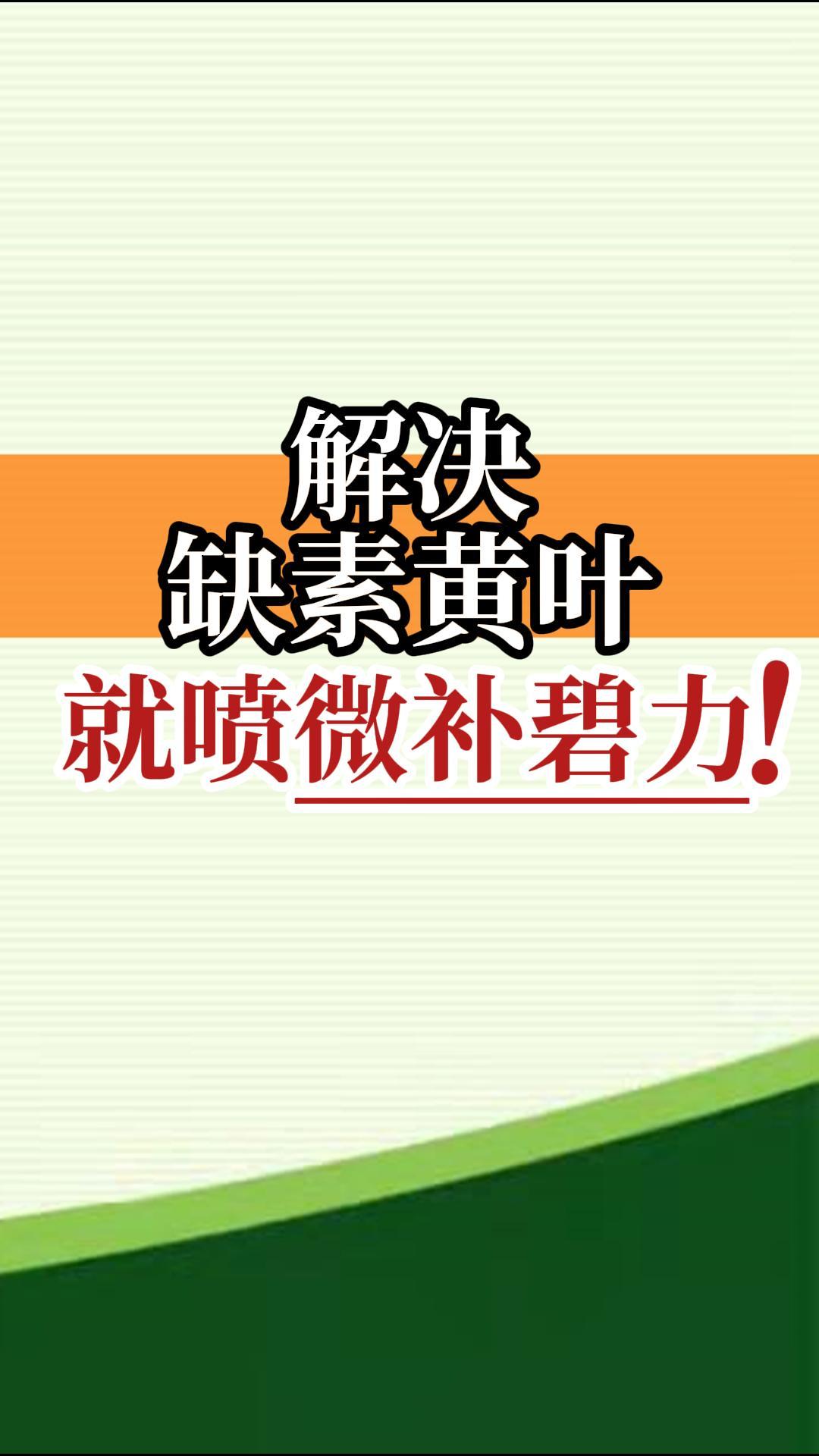 解決缺素黃葉就噴微補(bǔ)碧力！